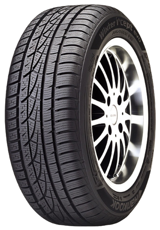 205/60R15 91T I*CEPT EVO W310